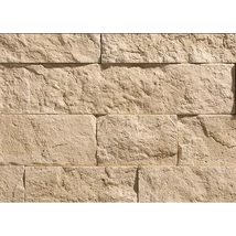 Stegu Arena kőburkolat